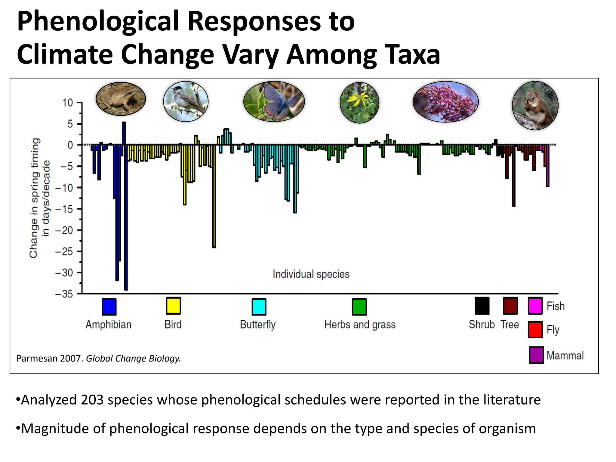 Phenological Mismatches