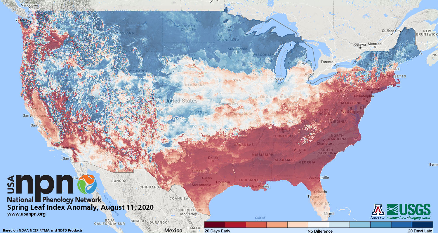 NPN Spring Onset Map